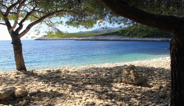 One bedroom apartment near beach Rukavac, Vis (A-2478-b) in Vis