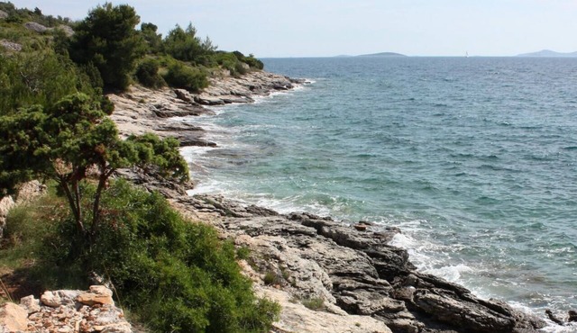 One bedroom apartment with terrace and sea view Jezera, Murter (A-5057-f) in Jezera
