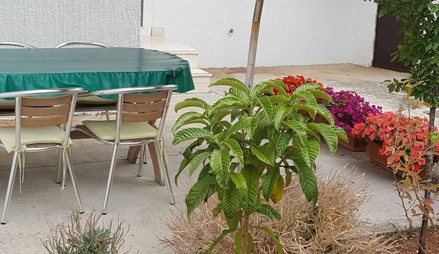 One bedroom apartment with terrace Jezera, Murter (A-5120-h) in Jezera