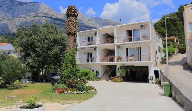 One bedroom apartment with balcony and sea view Tučepi, Makarska (A-6695-a)