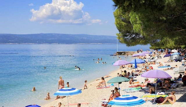One bedroom apartment with terrace and sea view Brela, Makarska (A-6884-a)