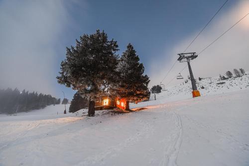 Panorama Krvavec Ski-in, Ski-out in Cerklje na Gorenjskem