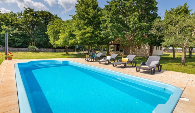 Pet friendly home in Svetvincenat