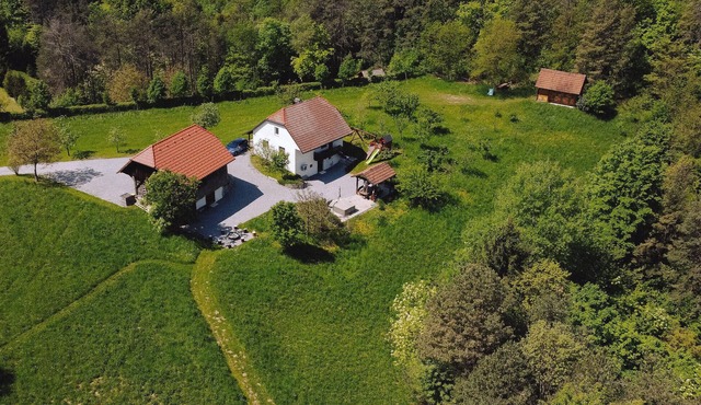 Pet friendly home in Mokronog with sauna in Mokronog