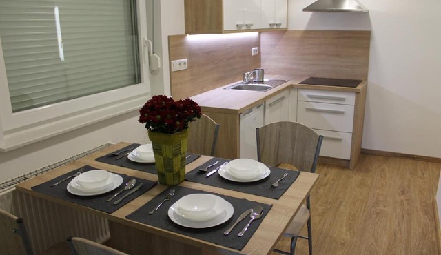 Petite Apartment in Maribor