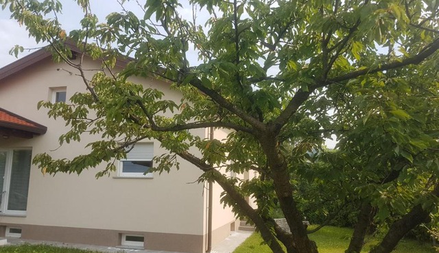Počitniška hiša Hum in Brda