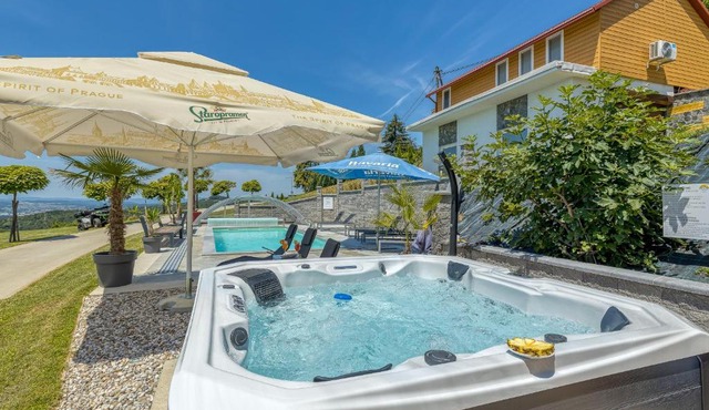 Pool & Whirlpool Art Villas in Trebnje