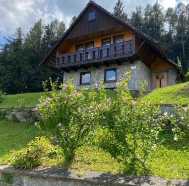 Private Forest Cabin with Epic View in Ribnica na Pohorju
