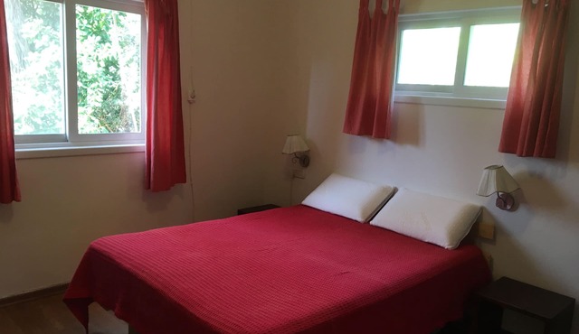 Private room and bathroom with lovely garden. in Herzliya
