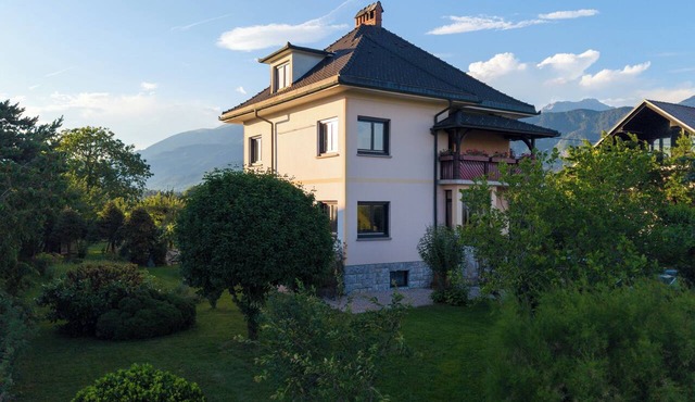 Private Villa Moka near Bled with AC, Wi-Fi, free parking, BBQ, huge garden in Radovljica