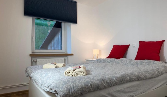 Renovated Apartment Jana Bohinj in Bohinj