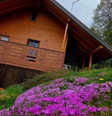 Romantic cabin in the woods - Fesnga, Slovenia in Slovenj Gradec