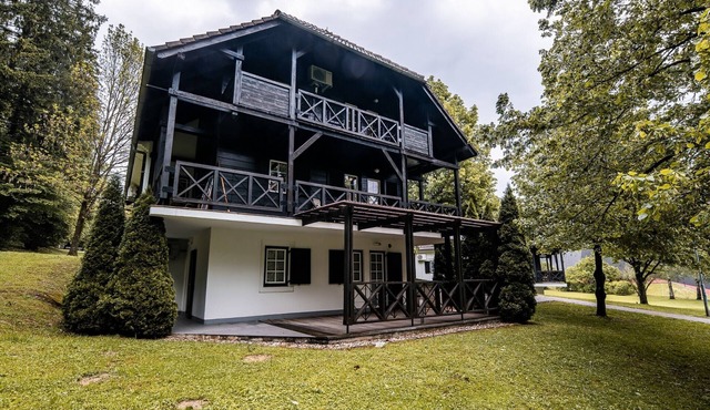 Rustic and Radiant Retreat Apartments with Terrace - Standard One Bedroom Apartment with Terrace in Podcetrtek