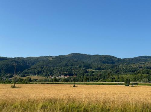 Rustic Cabin Catez Ganzes Holzhaus an Sloweniens größter Therme in Brezice