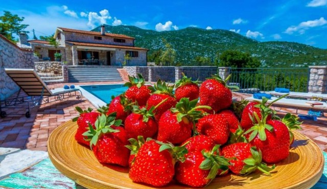 Rustic Haven Villa
