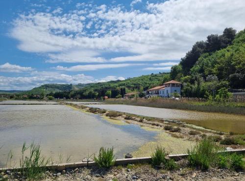 Salt Field Residence in Strunjan