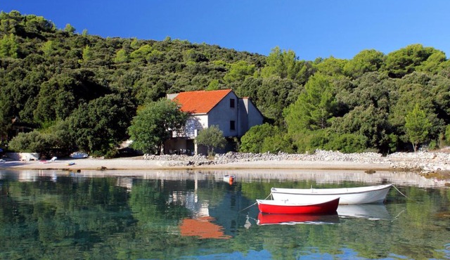 Seaside holiday house Cove Vrbovica bay - Vrbovica (Korcula) - 9223 in Korčula