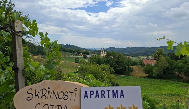 Skrivnosti gozda in Šmarje pri Jelšah
