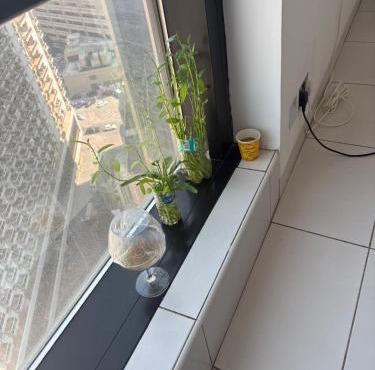 skyline in Dubai