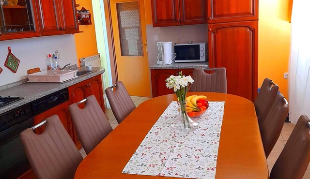 Spacious and Sunny Apartment on Island Rab