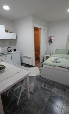 Studio apartman Centar