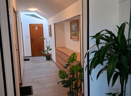 Studio apartmani Atlantik