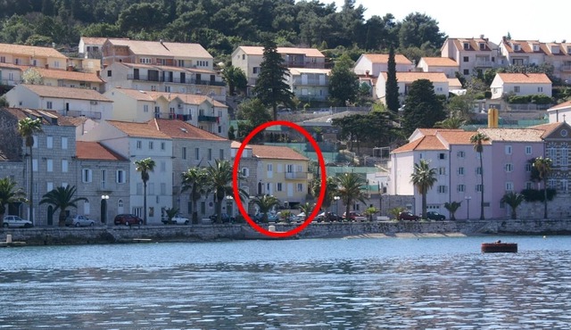 Studio flat near beach Korčula (AS-4356-a)