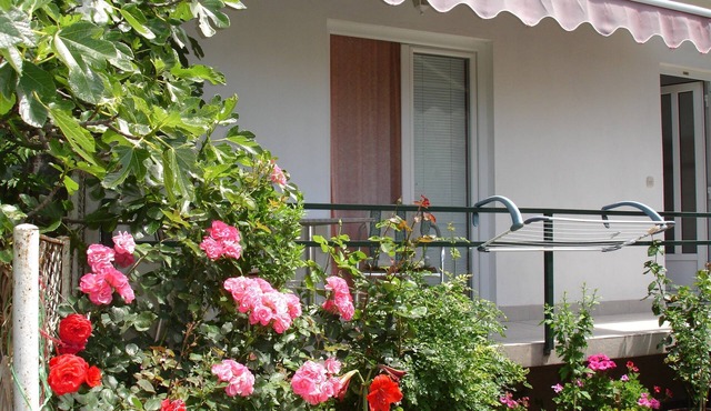 Studio flat with balcony Gradac, Makarska (AS-15585-b) in Gradac