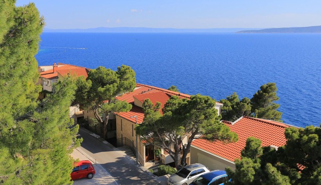 Studio flat with balcony and sea view Brela, Makarska (AS-19205-b)