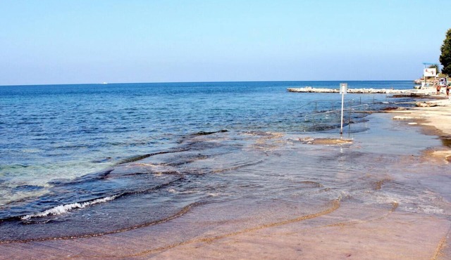 Studio flat with terrace Mareda, Novigrad (AS-21207-a)