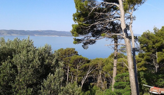 Studio flat with terrace and sea view Brela, Makarska (AS-20007-a)