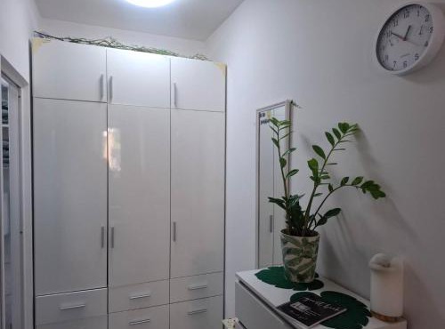 Studio Forest in Ljubljana
