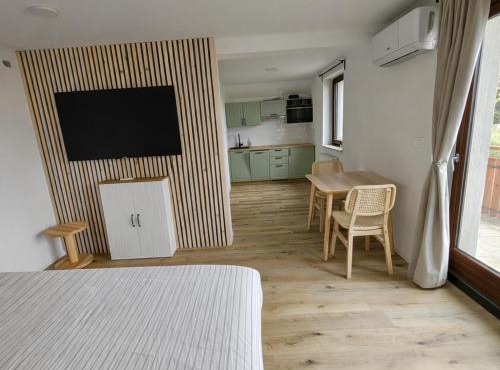 Studio Gozdni mož in Bled