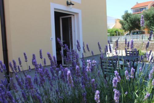 Studio Lavanda in Kornić, Krk