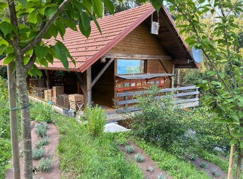The BeeHouse, Nature stay in Šempeter v Savinjski Dolini