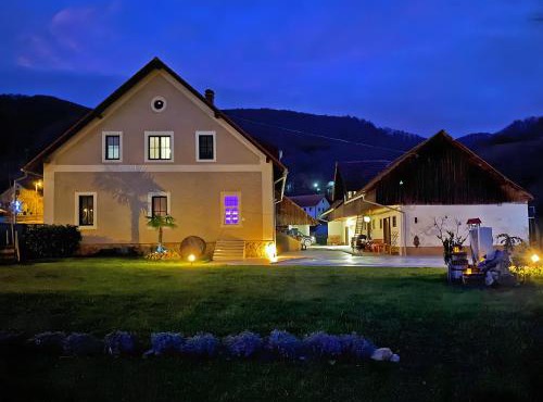 The old Village Villa At 2 Geese with Pool in Brezice