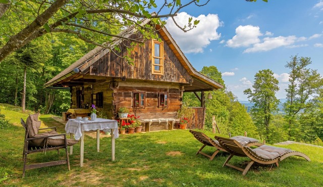 Tiny House Bibi/w Private Garden, Dragatuš, Slovenia in Dragatuš