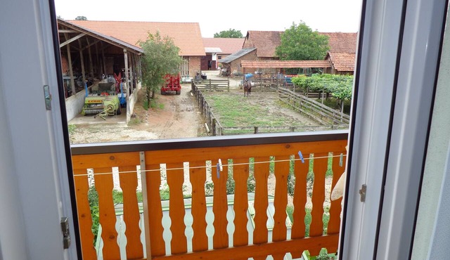 Tourist farm and beekeeping Salamun in Verzej