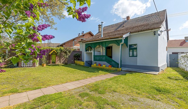 Traditional Child Friendly Homestead Larva, Trenkovo, Croatia