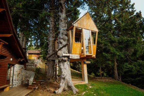 Tree House Alpinka Krvavec in Ambroz pod Krvavcem