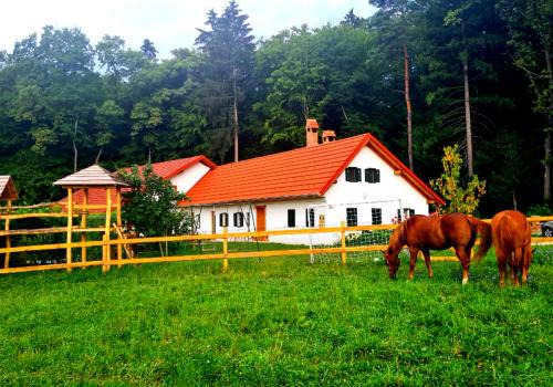 Turistična kmetija Hiša ob gozdu pri Ptuju in Majsperk