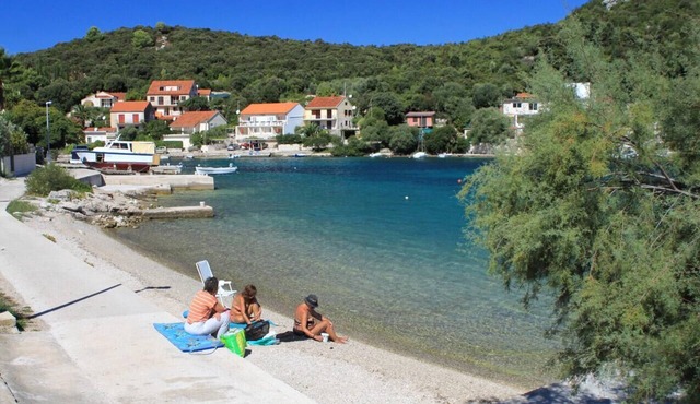 Two bedroom apartment near beach Cove Vrbovica, Korčula (A-4452-c)
