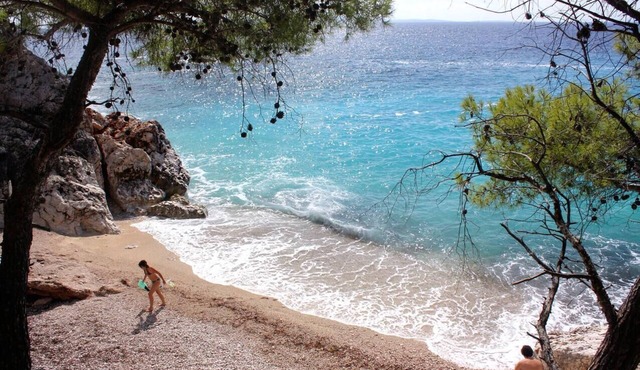 Two bedroom apartment with terrace Ivan Dolac, Hvar (A-15784-b)