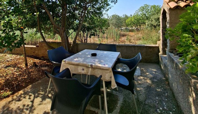 Two bedroom apartment with terrace Zaglav, Dugi otok (A-11924-a)