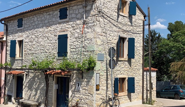 Typical Istrian stone house with romantic courtyard/dog-friendly