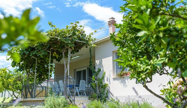 Vacation House Bile
