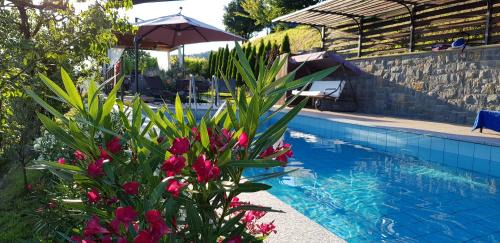 Valentina Guest House at Pintar Wine Estate in Brda