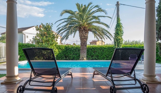 Villa Alberi with pool (90311-K1) - Savudrija