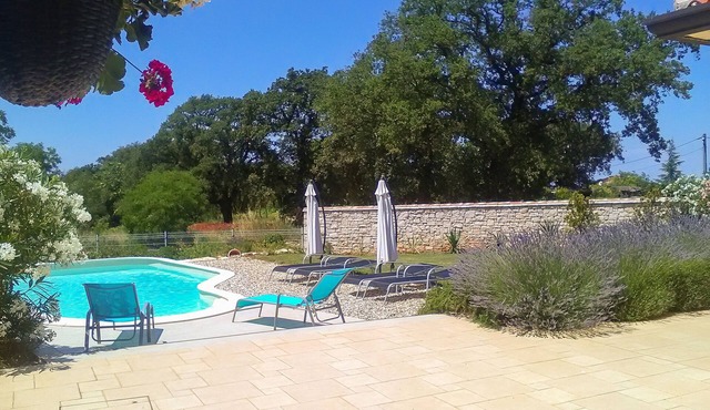 Villa Aleksandra (V8661-K1) - Novigrad