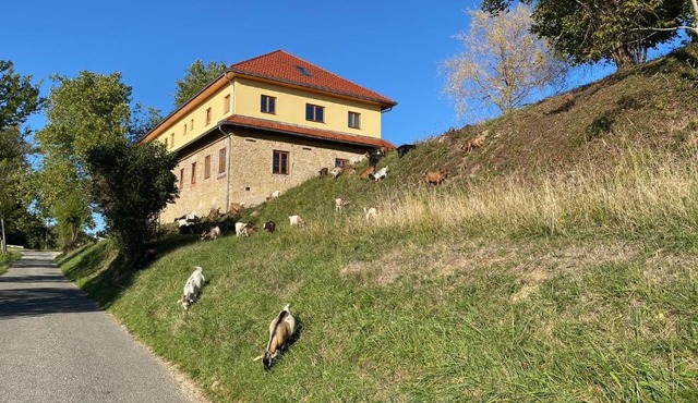 Villa Kasimir - Farmstay in Videm